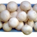 Mantarların Beslenme ve Sağlık Açısından Yararları