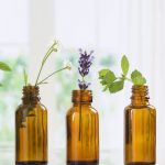 Uçucu Yağlardaki Terpenlerin Biyoaktivitesi ve Uygulamaları