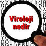 Viroloji Nedir? Virüs Sınıflandırması